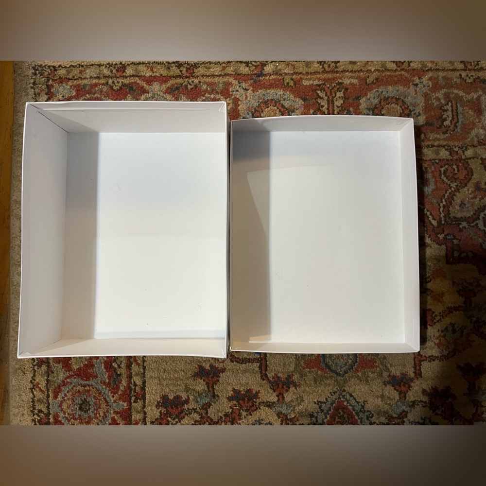Maryam Nassir Zadeh Dust Bag & Shoe Box - Picture 5 of 13
